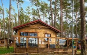 Beach Front Home In Borsk With House Sea View in Borsk